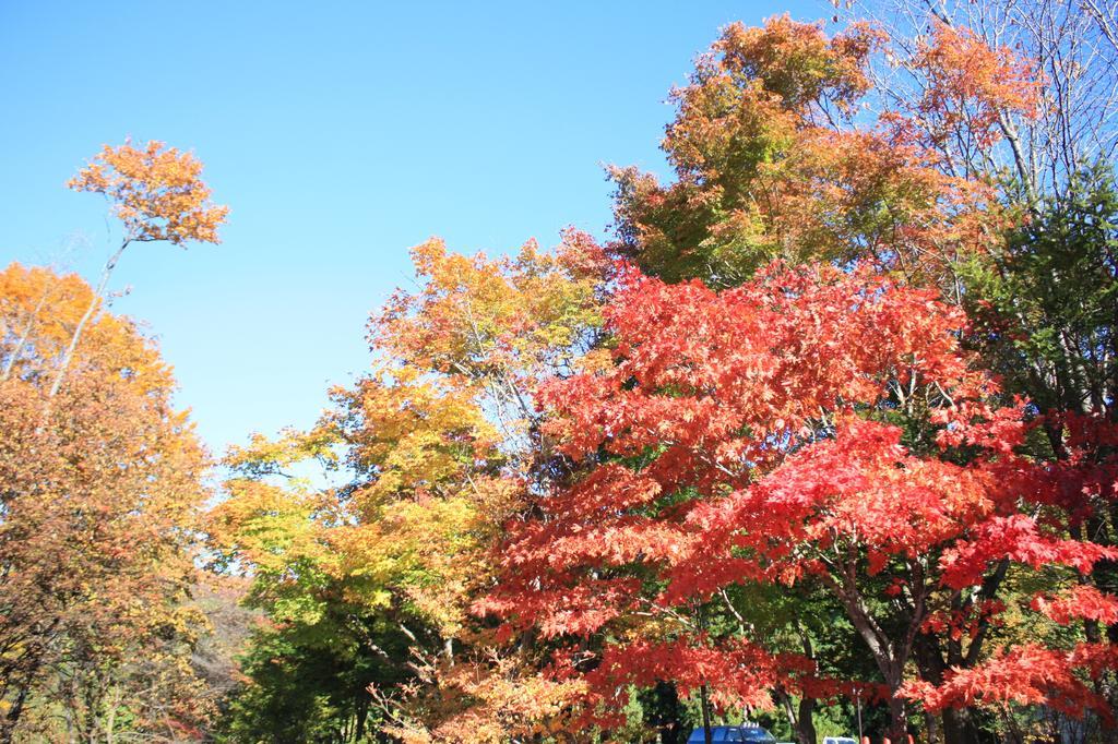 Nojiriko Hotel El Bosco 信濃町 エクステリア 写真